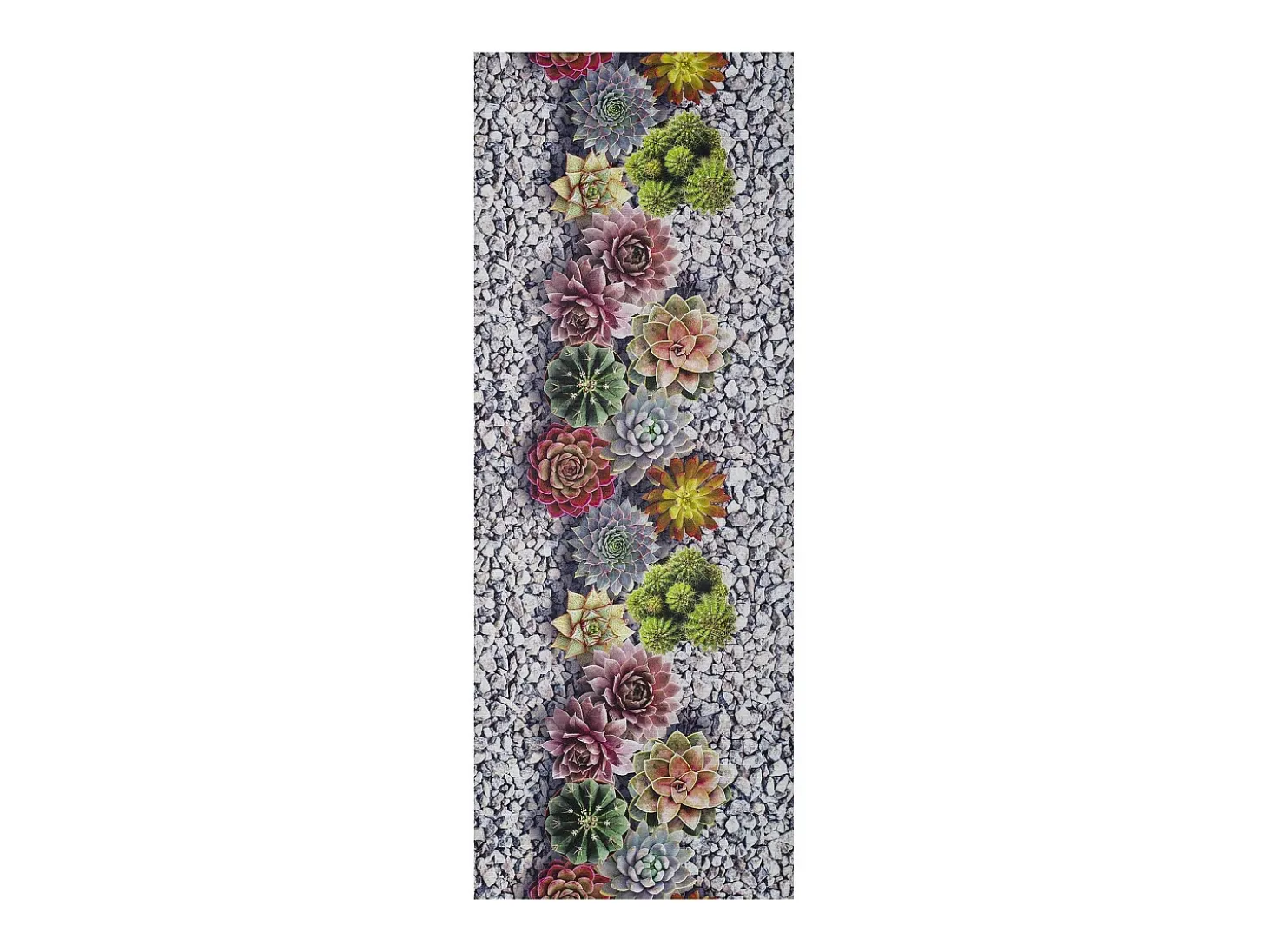 Alfombra de cocina - Diseños de cactus - gris - 52 x 100 cm - SPRINTY
