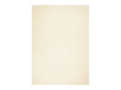 Alfombra HUARTE de pelo corto suave y lavable color crema 240x340 cm