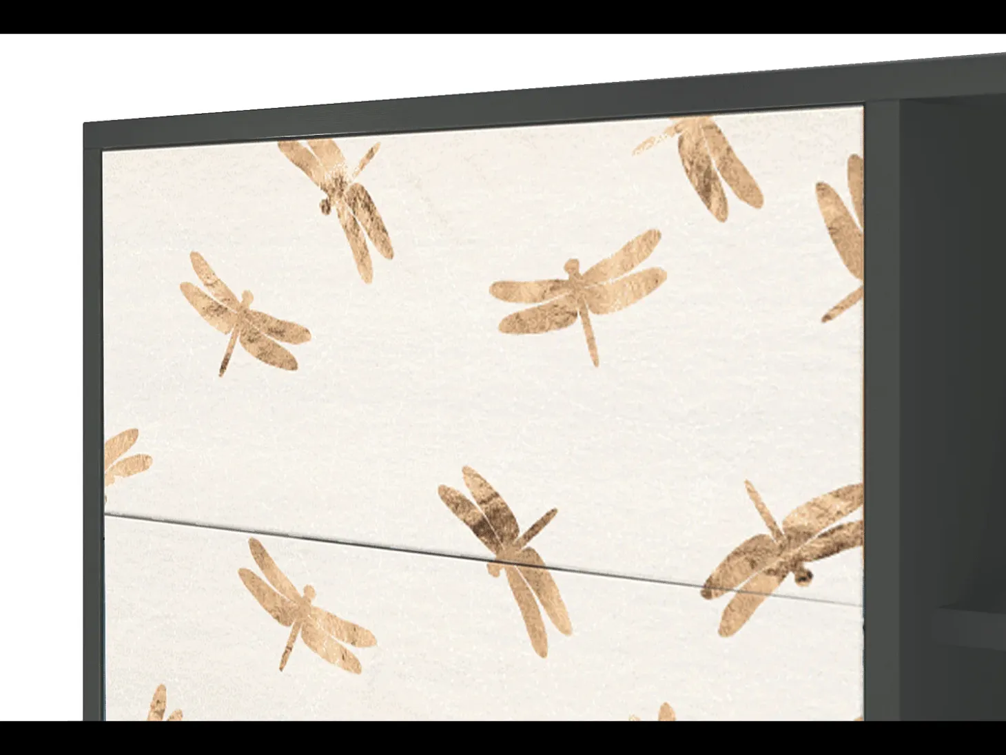Aparador - 125x98x48 cm - BS2 - Nude Dragonflies, Antracita