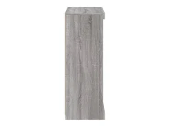 Aparador con luces LED Sonoma gris 60,5x37x100 cm