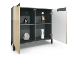 Aparador Sylt V3, Armario de Cocina Moderno con 2 Puertas Grandes antracita mate / negro de alto brillo (92,5 x 83.5 x 35)