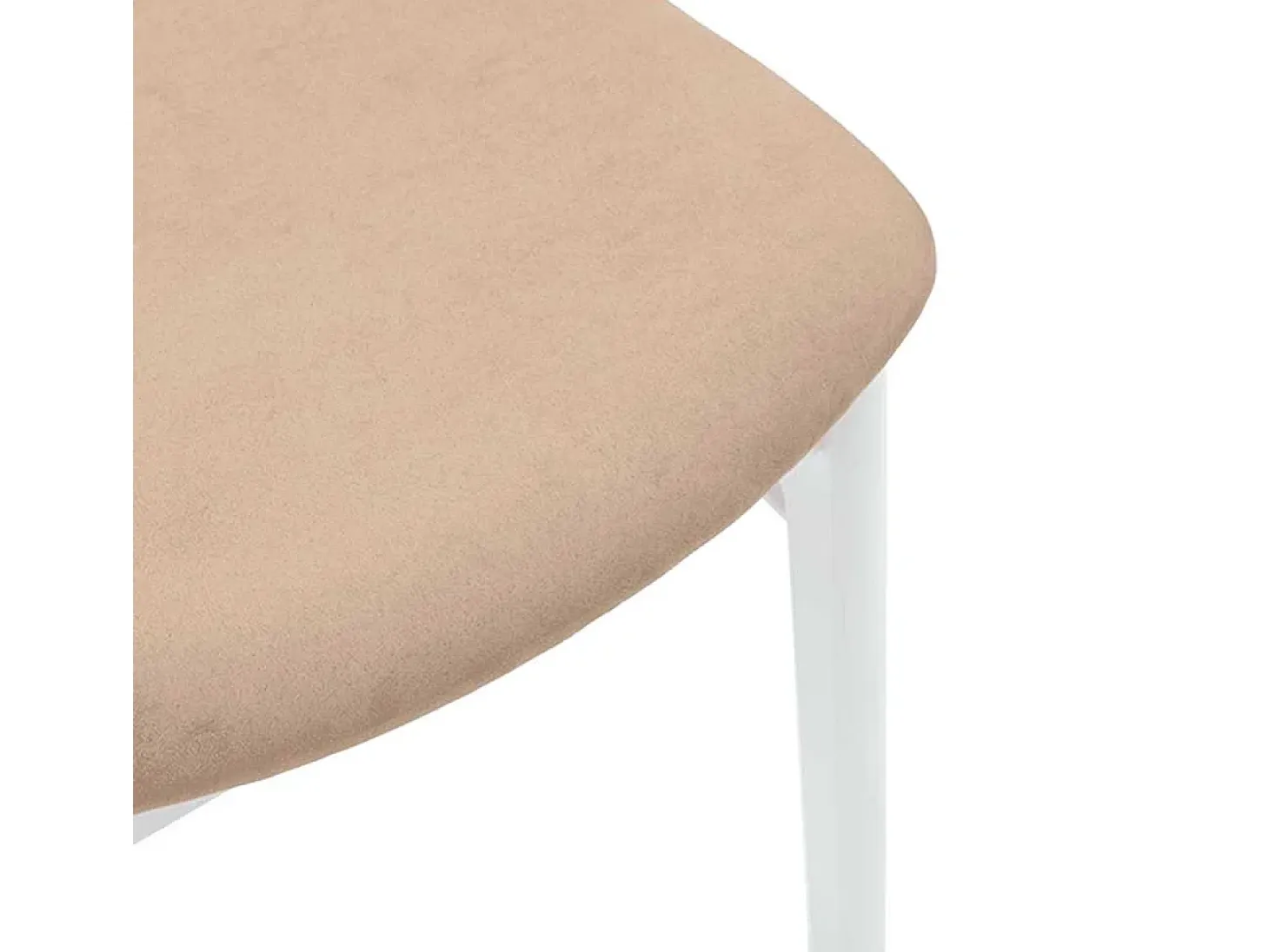 Cojines para sillas de comedor, 2 unidades, madera maciza blanca, caucho