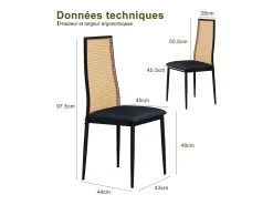 Conjunto de 2 piezas, silla de ratán, silla de comedor con respaldo alto, efecto ratán PE, color negro