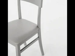 Conjunto de 2 sillas de salón 