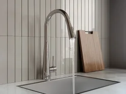 Grifo de cocina con ducha extraíble de acero inoxidable - Cromado - RONA