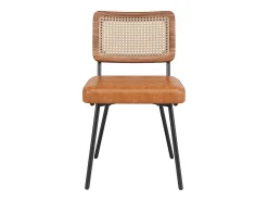 Juego de 2 sillas de piel sintética - Sillón de ratán - Silla retro - Metal + PU - Marrón