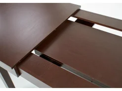 Mesa extensible para 6/10 personas 160/300x90 cm