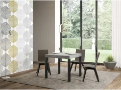 Mesa extensible 90/246x90 cm Everyday cemento patas antracita
