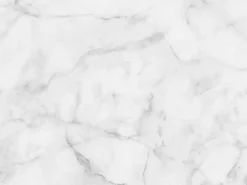 Mesa tulipán ovalada de mármol blanco con base brillante 160 cm-Bandeja Mármol verde alpi-Anchura 200 cm-Color de los pies Blanco mate