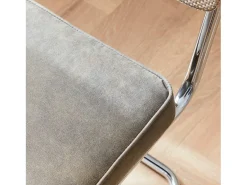 Silla cantilever con respaldo efecto ratán, set de 2 pardo
