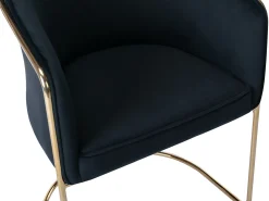Silla con brazos de terciopelo y metal - Negro y dorado - JOSETHE