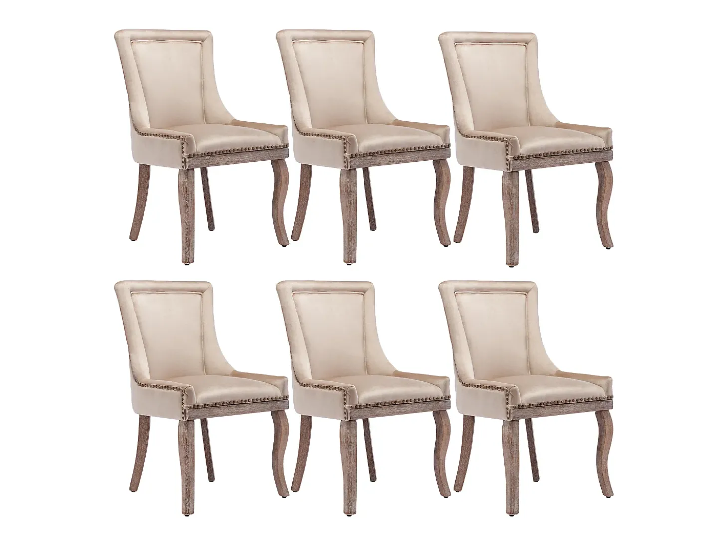Silla de comedor de terciopelo beige con patas de madera maciza, diseño elegante con clavos decorativos (55x61x91 cm)